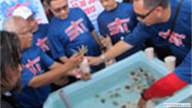 Start in Tioman 2013