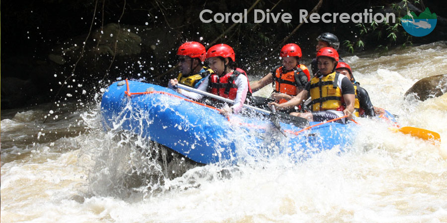 "Copyright Reserved Coral Dive and Recreation"